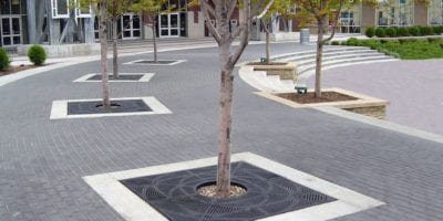 Ironsmith Tree Grates